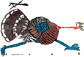 TURKEY DRONE by Randall Enos