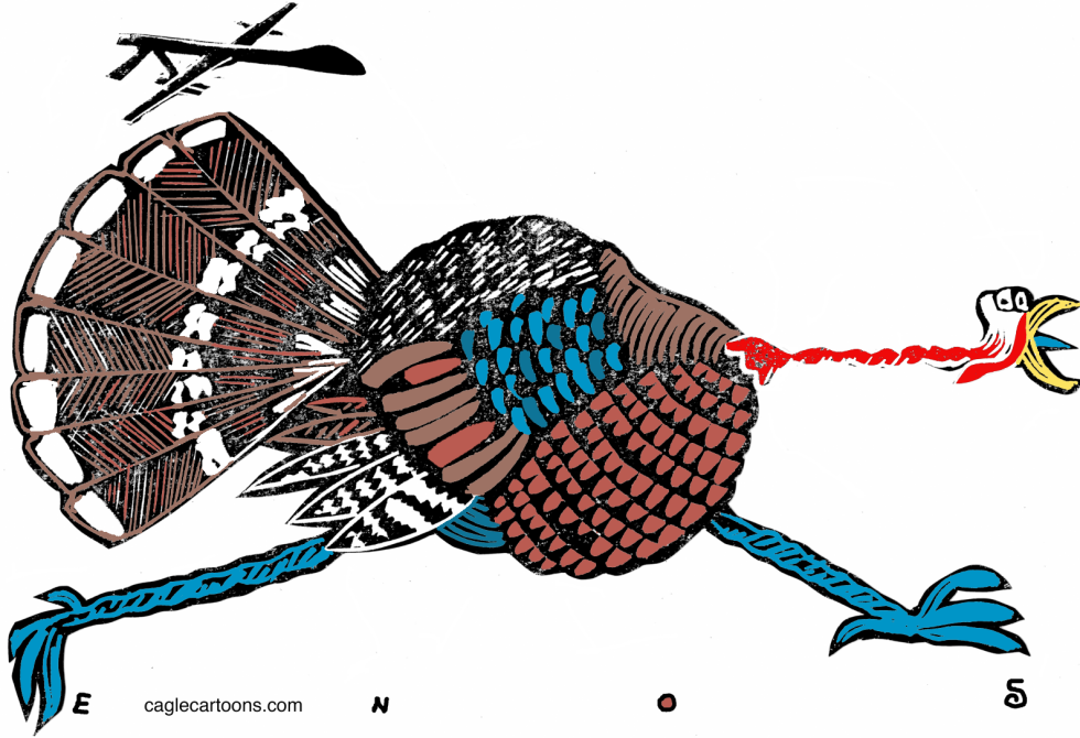  TURKEY DRONE by Randall Enos