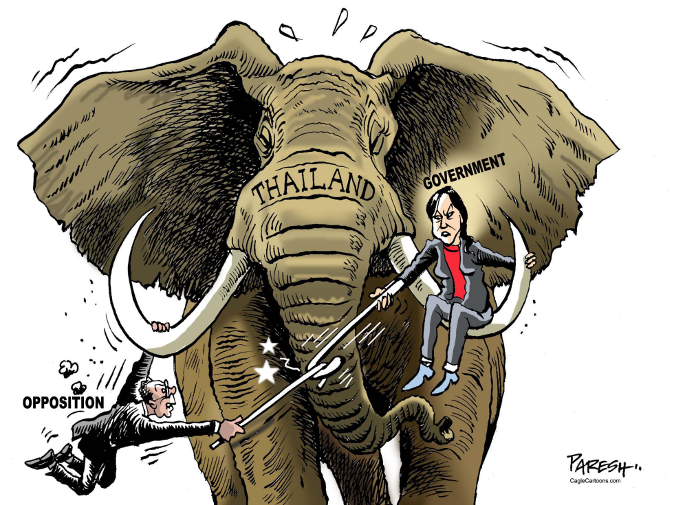  THAI FACE-OFF by Paresh Nath