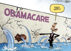 OBAMACARE REPAIR by Nate Beeler