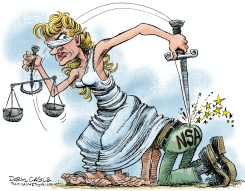 COURT RULING ON THE NSA by Daryl Cagle