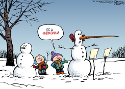 SNOW JOB by Nate Beeler