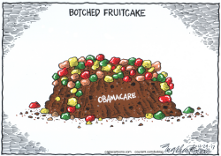 OBAMACARE FRUITCAKE by Bob Englehart