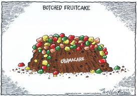 OBAMACARE FRUITCAKE by Bob Englehart