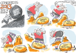 CONGRESS ROCKS 2013 by Pat Bagley