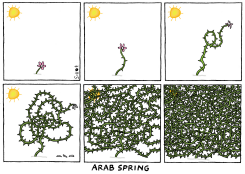 ARAB SPRING by Schot