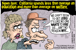 LOCAL-CA LESS EDUCATION MORE WELFARE by Wolverton