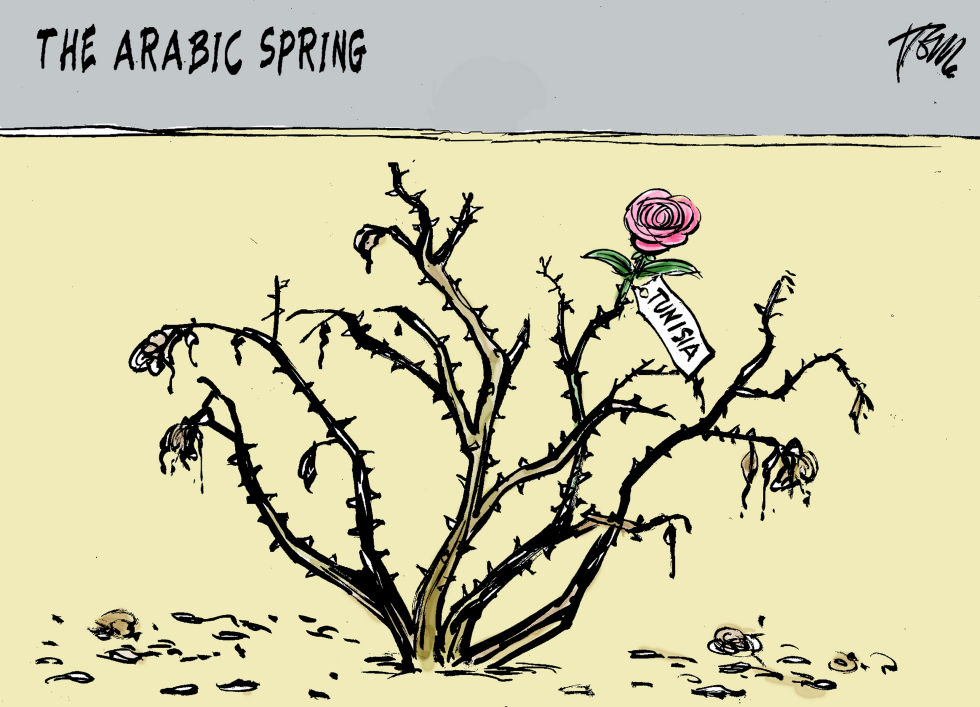  TUNISIA AND THE ARABIC SPRING by Tom Janssen