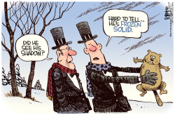 FROZEN GROUNDHOG by Rick McKee