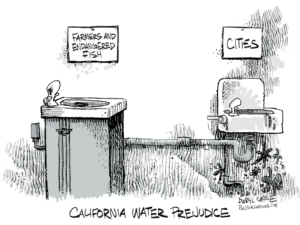  CALIFORNIA WATER PREJUDICE by Daryl Cagle