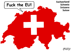 SWISS REFERENDUM by Rainer Hachfeld