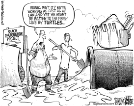 LOCAL FL RACE AGAINST TURTLE NESTING SEASON by Parker