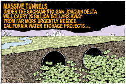 LOCAL-CA DELTA TUNNEL PROJECT by Wolverton