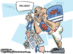 NFL BULLYING by David Fitzsimmons