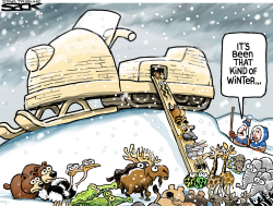 SNOWMO-ARK by Steve Sack