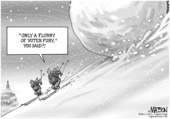 SNOWBALLING VOTER FURY by RJ Matson