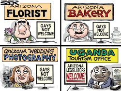 HAZING ARIZONA by Steve Sack