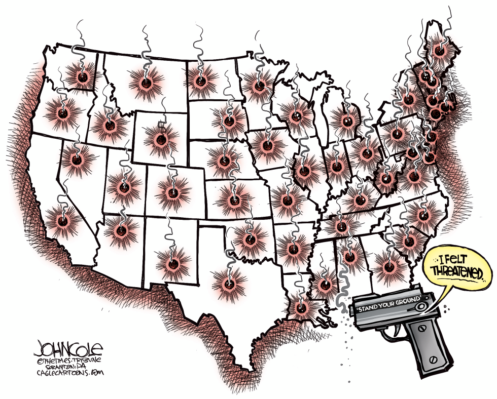  GUNS IN FLORIDA by John Cole