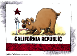 THIRSTY CALIFORNIA FLAG by Daryl Cagle