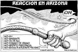 REACCION EN ARIZONA by Wolverton