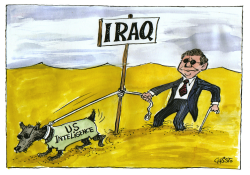 PRESIDENT BUSH AND U.S. INTELLIGENCE ON IRAQ by Christo Komarnitski