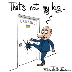 NOT MY LEG by Sergei Elkin