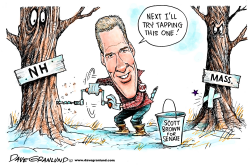 SCOTT BROWN SENATE BID IN NH by Dave Granlund