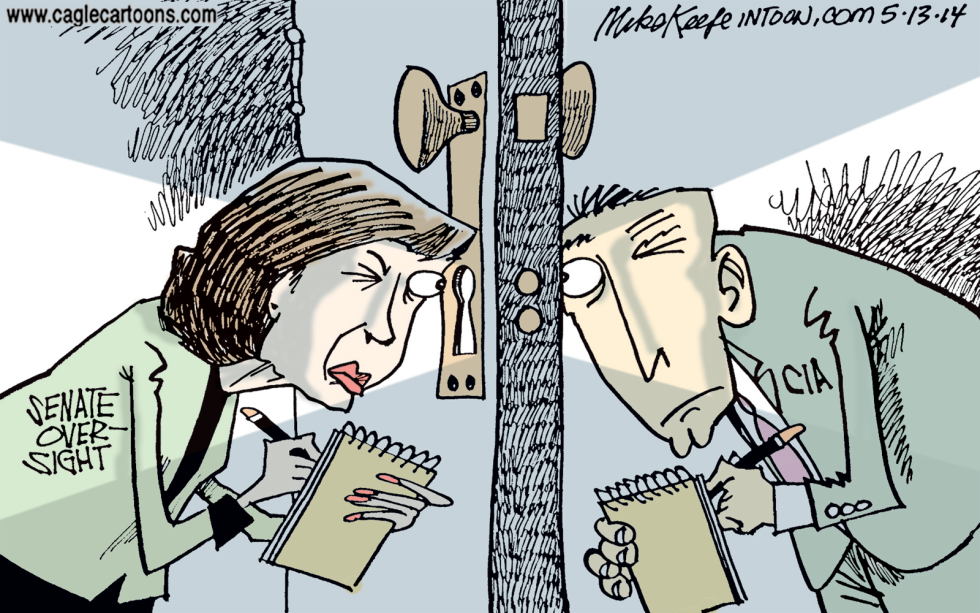  SENATE OVERSIGHT by Mike Keefe