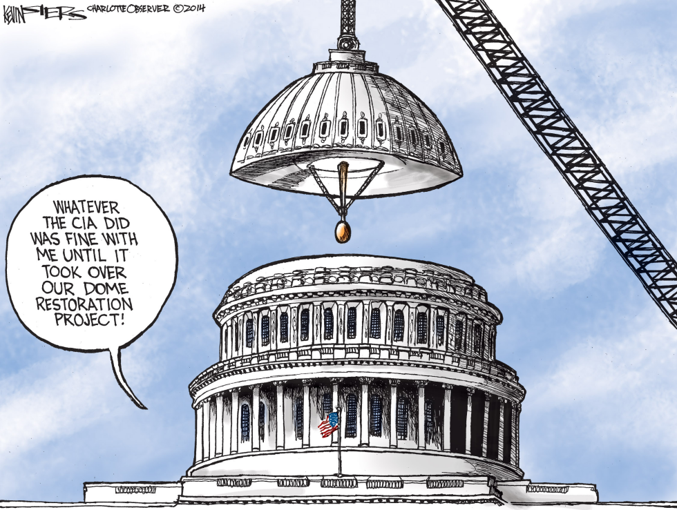  DOME RESTORATION PROJECT by Kevin Siers