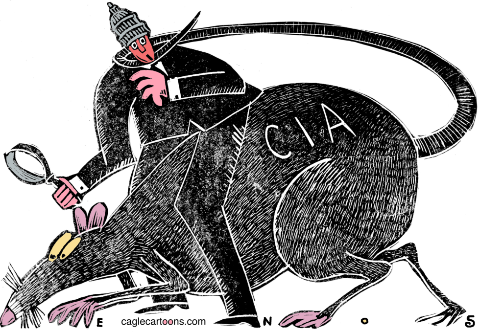  CIA SPYING by Randall Enos