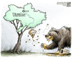 THE HUNGRY BEAR by Adam Zyglis