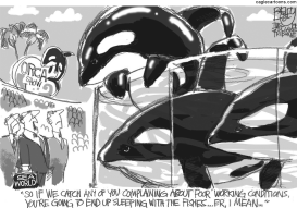 SEAWORLD KILLER WHALES by Pat Bagley