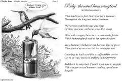 TAYLOR JONES FIELD GUIDE FOR THE BIRDS - PLATE 9 by Taylor Jones