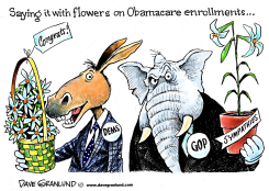 OBAMACARE ENROLLMENTS by Dave Granlund