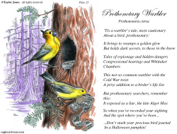 FIELD GUIDE FOR THE BIRDS - PLATE 22  by Taylor Jones