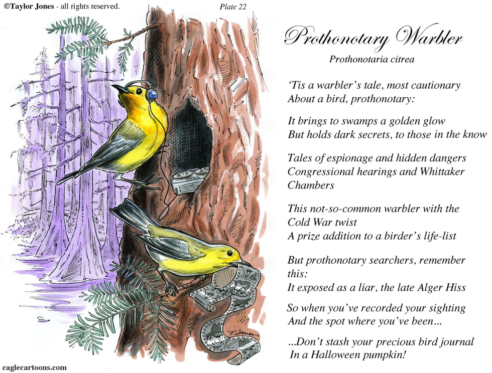  FIELD GUIDE FOR THE BIRDS - PLATE 22  by Taylor Jones