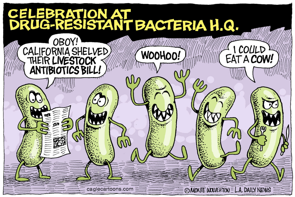  LOCAL-CA LIVESTOCK ANTIBIOTICS BILL by Wolverton