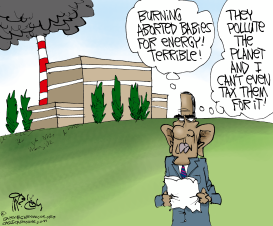 OBAMA'S BURNING BABIES by Gary McCoy