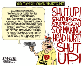 SMART GUNS by John Cole