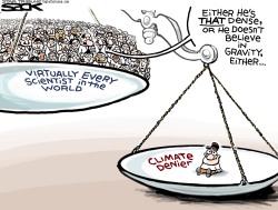 CLIMATE DENIAL by Steve Sack