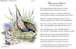 FIELD GUIDE FOR THE BIRDS - PLATE 13  by Taylor Jones