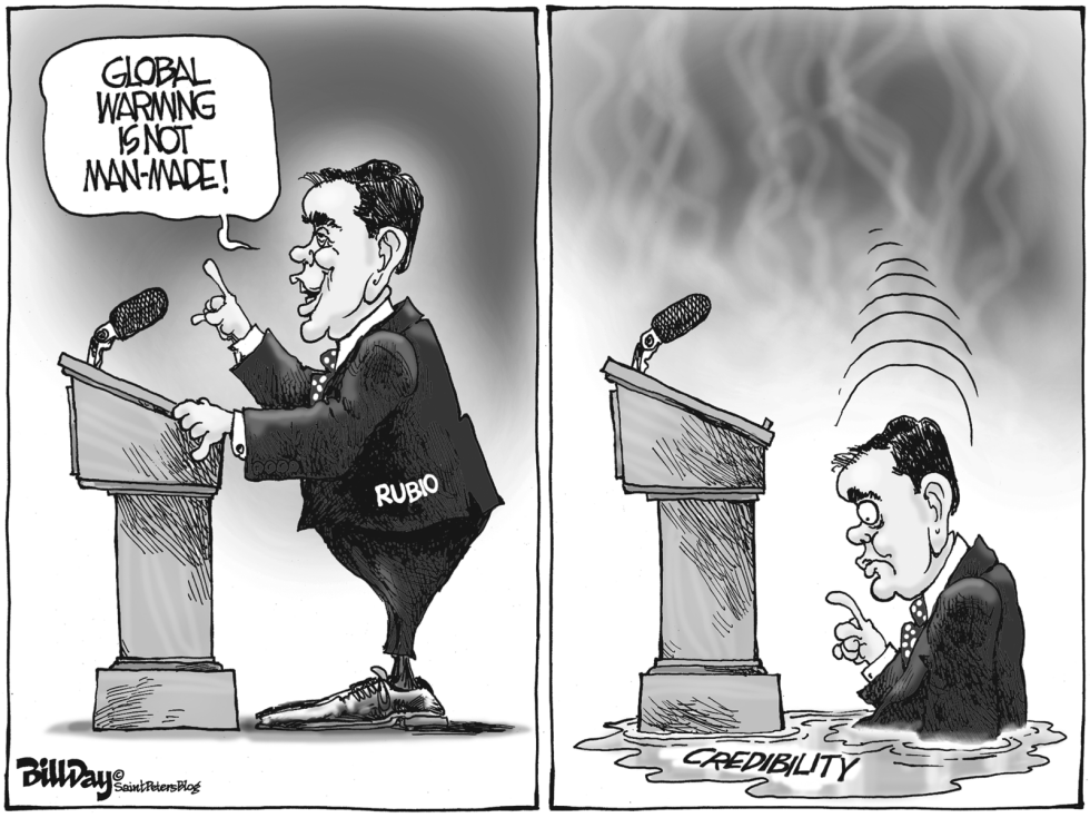  FL LOCAL RUBIO MELT   by Bill Day