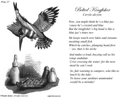 TAYLOR JONES FIELD GUIDE FOR THE BIRDS - PLATE 27 by Taylor Jones