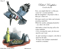 FIELD GUIDE FOR THE BIRDS - PLATE 27  by Taylor Jones