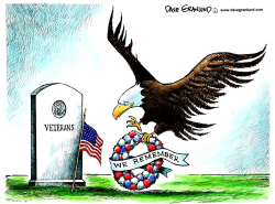 MEMORIAL DAY TRIBUTE by Dave Granlund