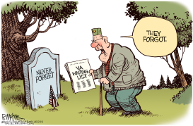 VA MEMORIAL DAY  by Rick McKee