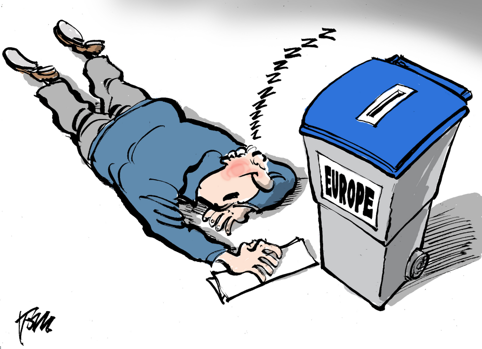  VOTING FOR EUROPE by Tom Janssen