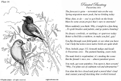 TAYLOR JONES FIELD GUIDE FOR THE BIRDS - PLATE 16 by Taylor Jones