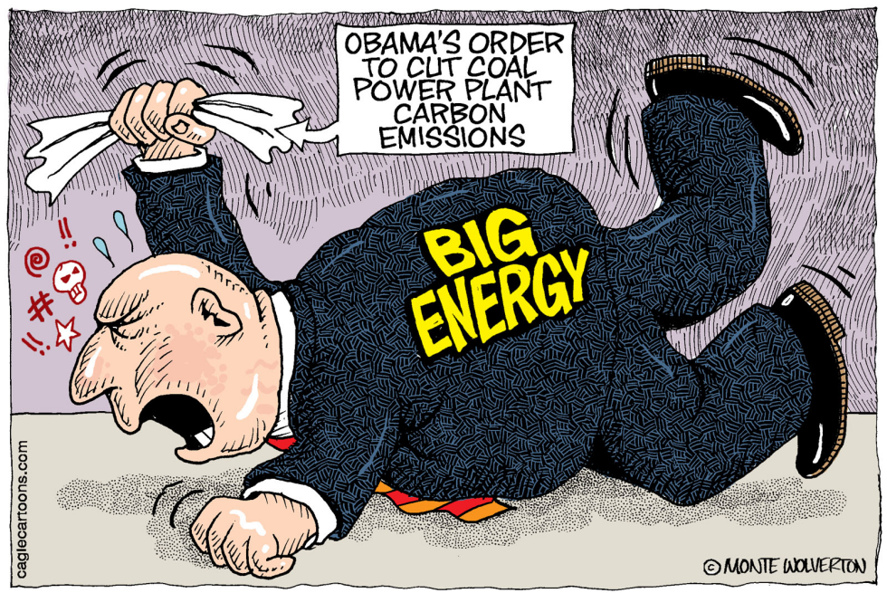  NEW OBAMA RULES FOR COAL POWER PLANTS by Wolverton