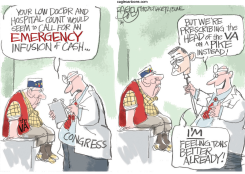 FIXING THE VA  by Pat Bagley